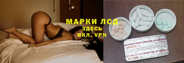 ECSTASY Покачи